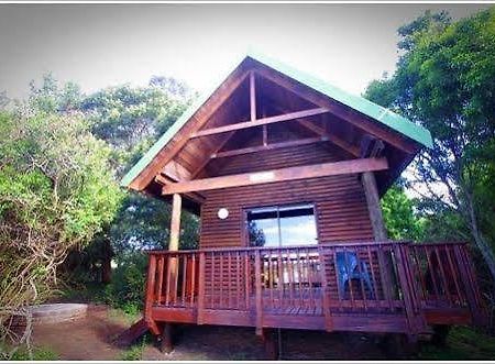 Kragga Kamma Game Park Otel Port Elizabeth Dış mekan fotoğraf