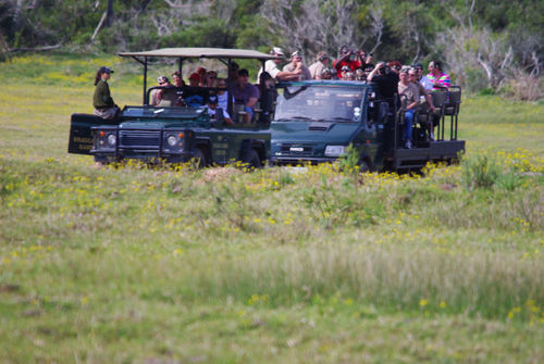 Kragga Kamma Game Park Otel Port Elizabeth Dış mekan fotoğraf