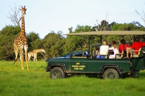 Kragga Kamma Game Park Otel Port Elizabeth Dış mekan fotoğraf
