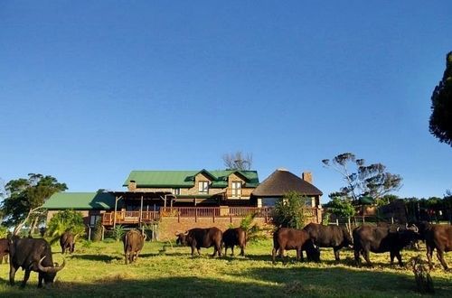 Kragga Kamma Game Park Otel Port Elizabeth Dış mekan fotoğraf
