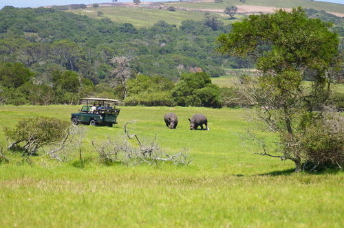 Kragga Kamma Game Park Otel Port Elizabeth Dış mekan fotoğraf