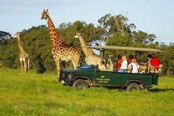 Kragga Kamma Game Park Otel Port Elizabeth Dış mekan fotoğraf